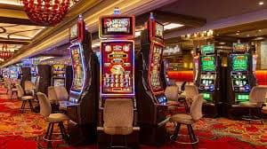puma777